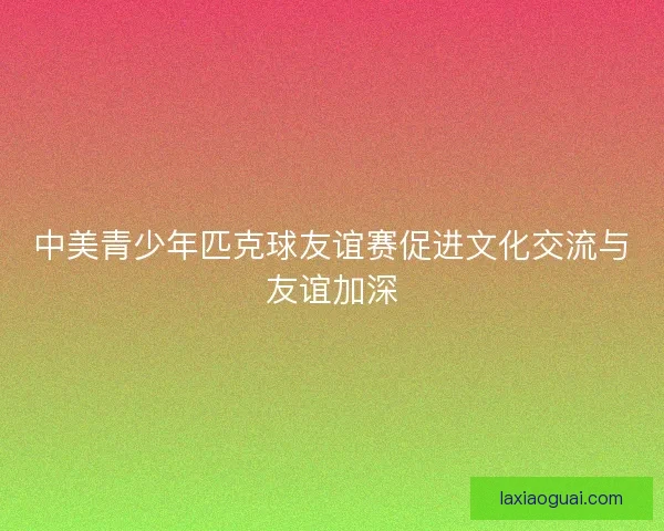 中美青少年匹克球友谊赛促进文化交流与友谊加深